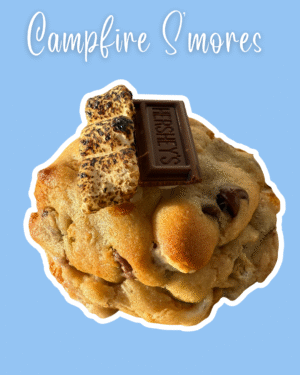 Campfire S’mores
